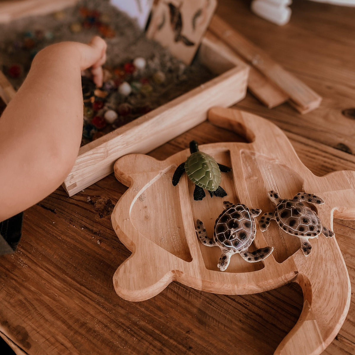 Turtle Sensory Tray