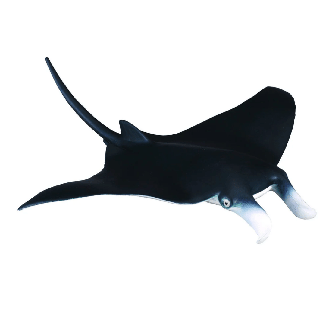 CollectA // Manta Ray