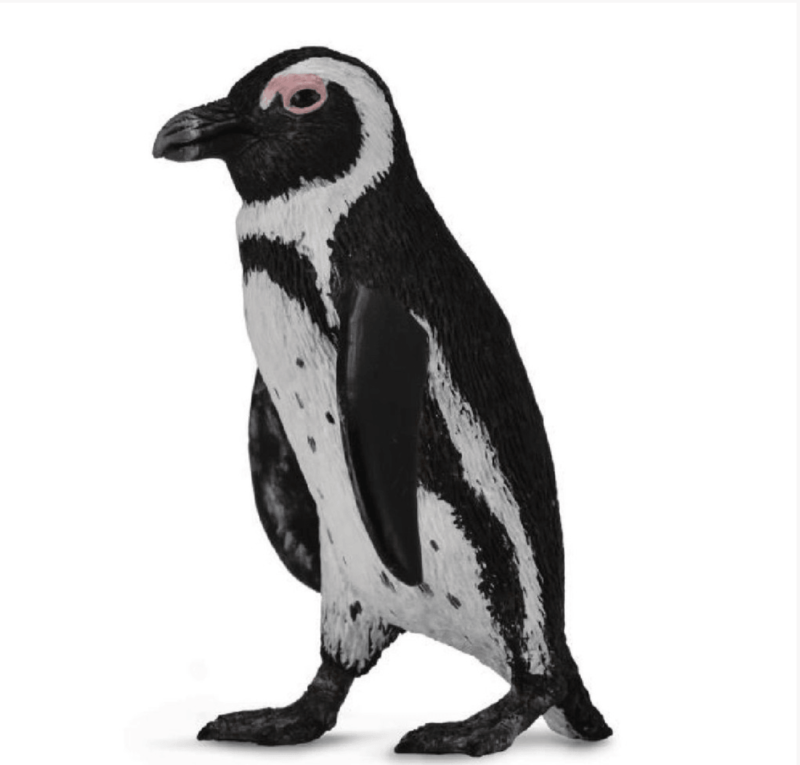 CollectA // South African Penguin