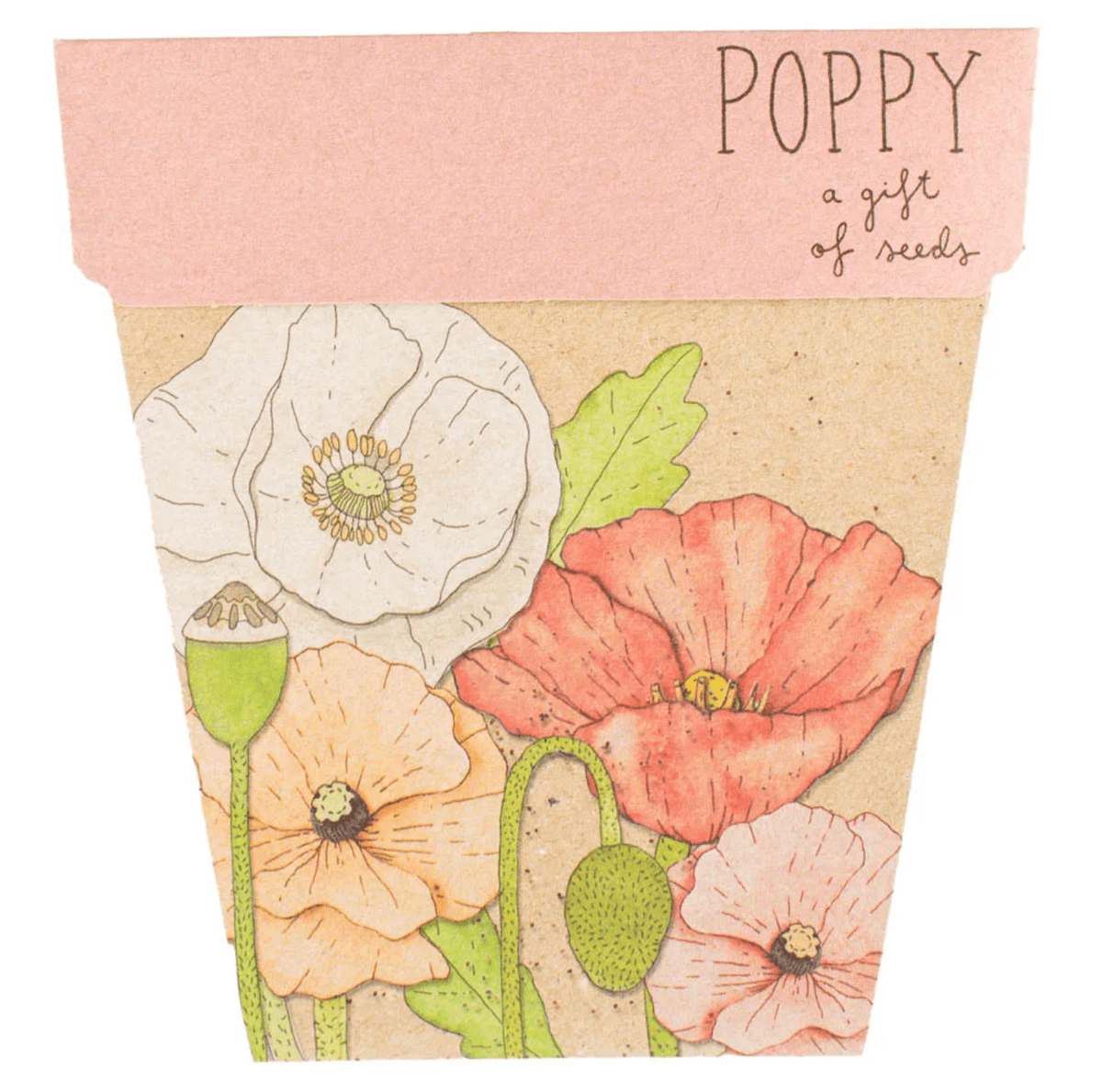 Gift Of Seeds // Poppy