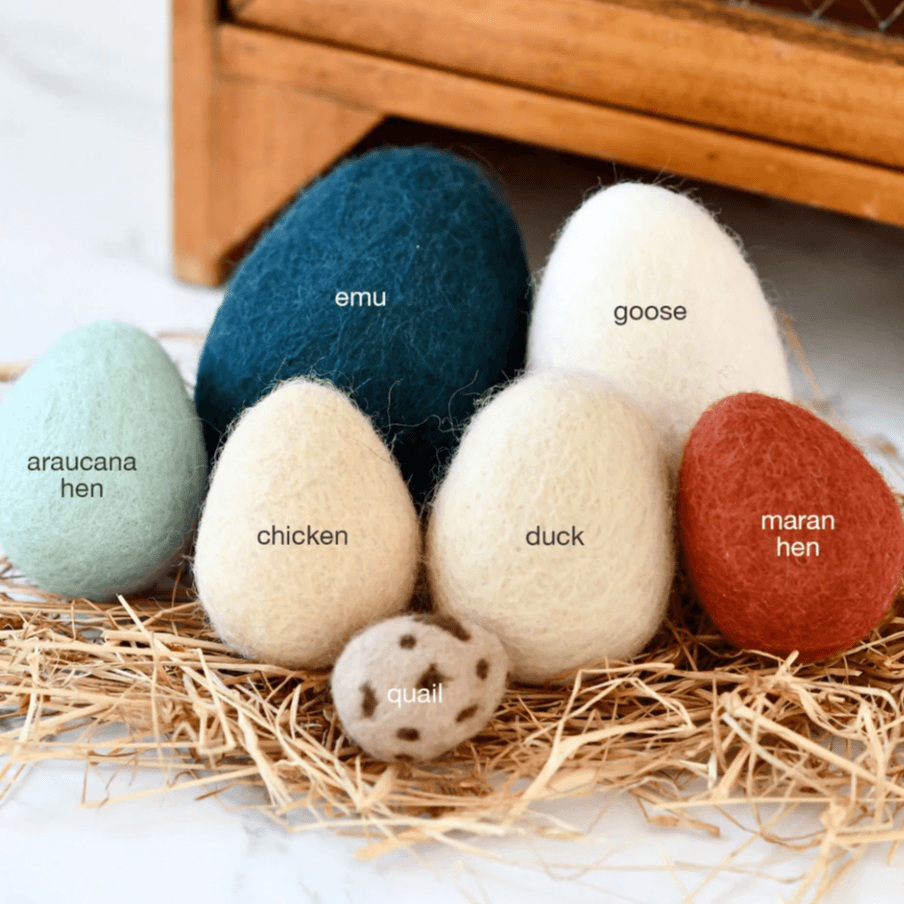 The Curated Parcel - Felt Eggs (7 Types of Poultry Eggs) 