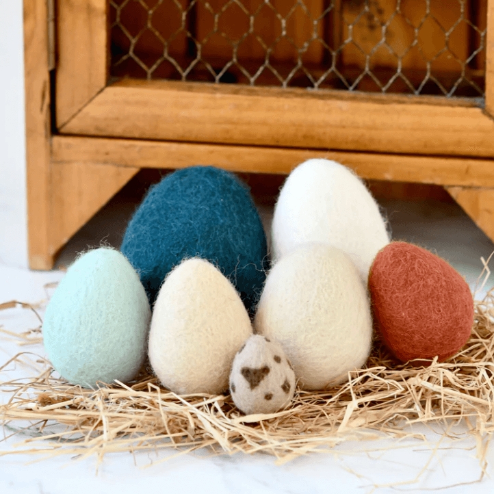 The Curated Parcel - Felt Eggs (7 Types of Poultry Eggs) 