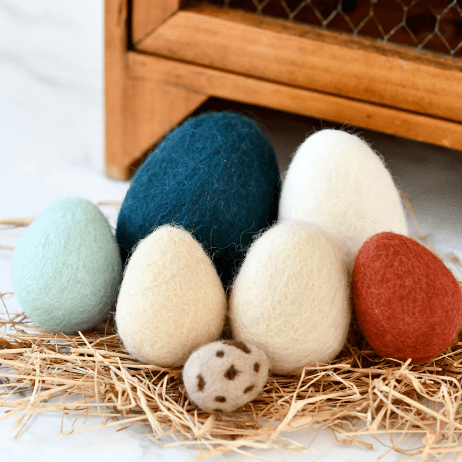 The Curated Parcel - Felt Eggs (7 Types of Poultry Eggs) 