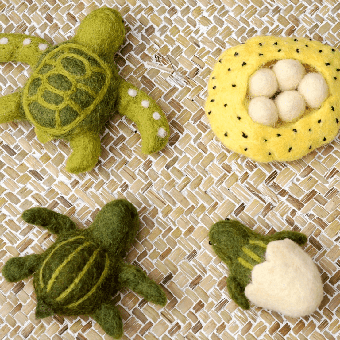 The Curated Parcel - Felt Lifecycle // Green Sea Turtle 