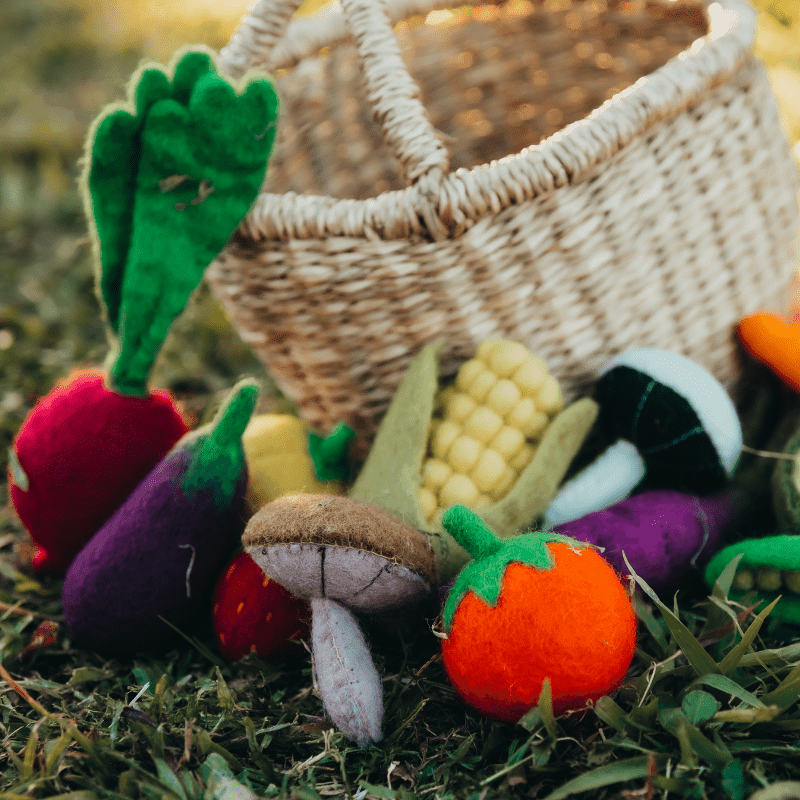 The Curated Parcel - Felt Vegetables &amp; Fruits Set A 