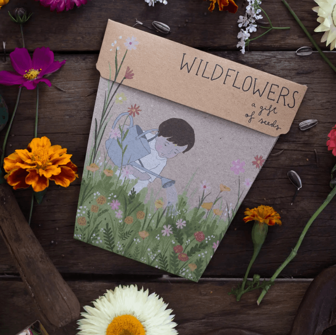 The Curated Parcel - Gift Of Seeds // Wildflower 