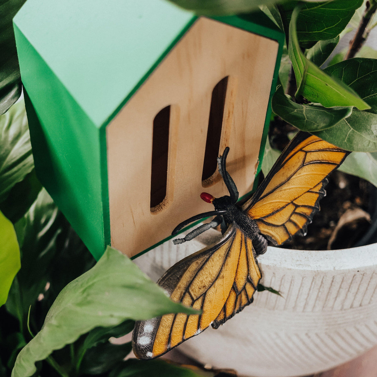 The Curated Parcel - Little Butterfly House 