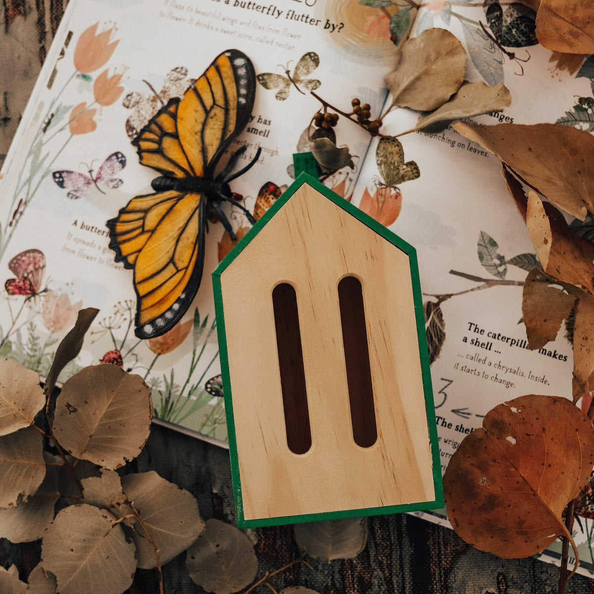 The Curated Parcel - Little Butterfly House 